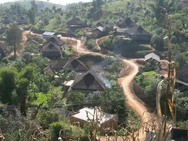 2023年保塘老寨古樹春茶品質(zhì)如何？