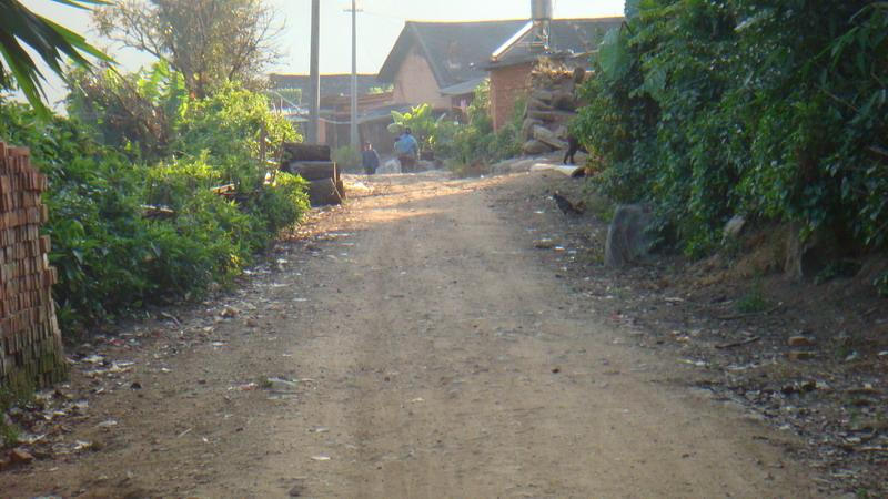 2023年保塘老寨古樹春茶價格是多少？