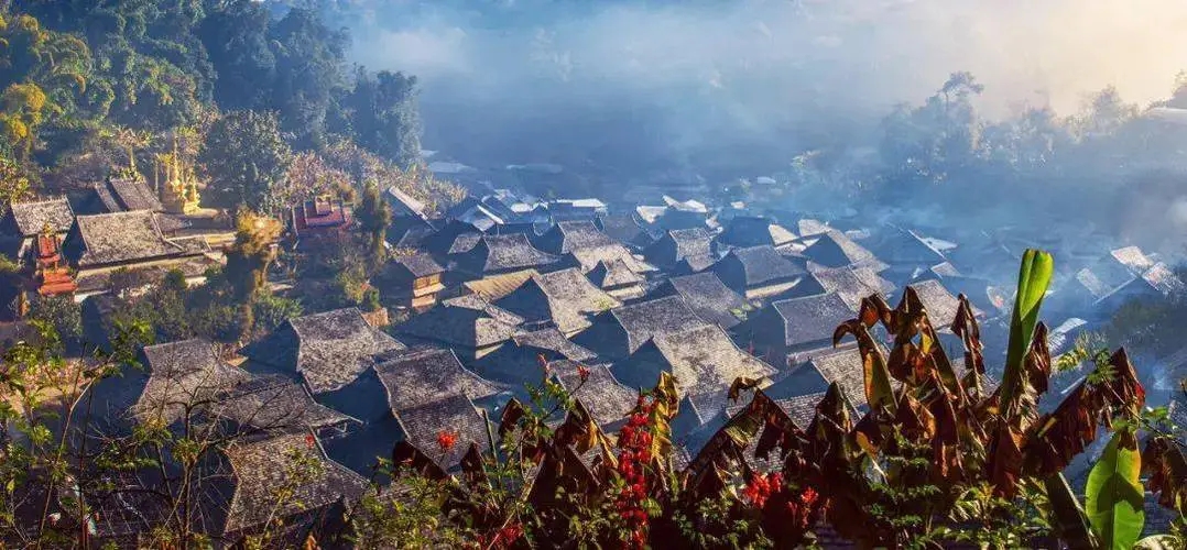 2023年景邁古樹春茶品質如何？