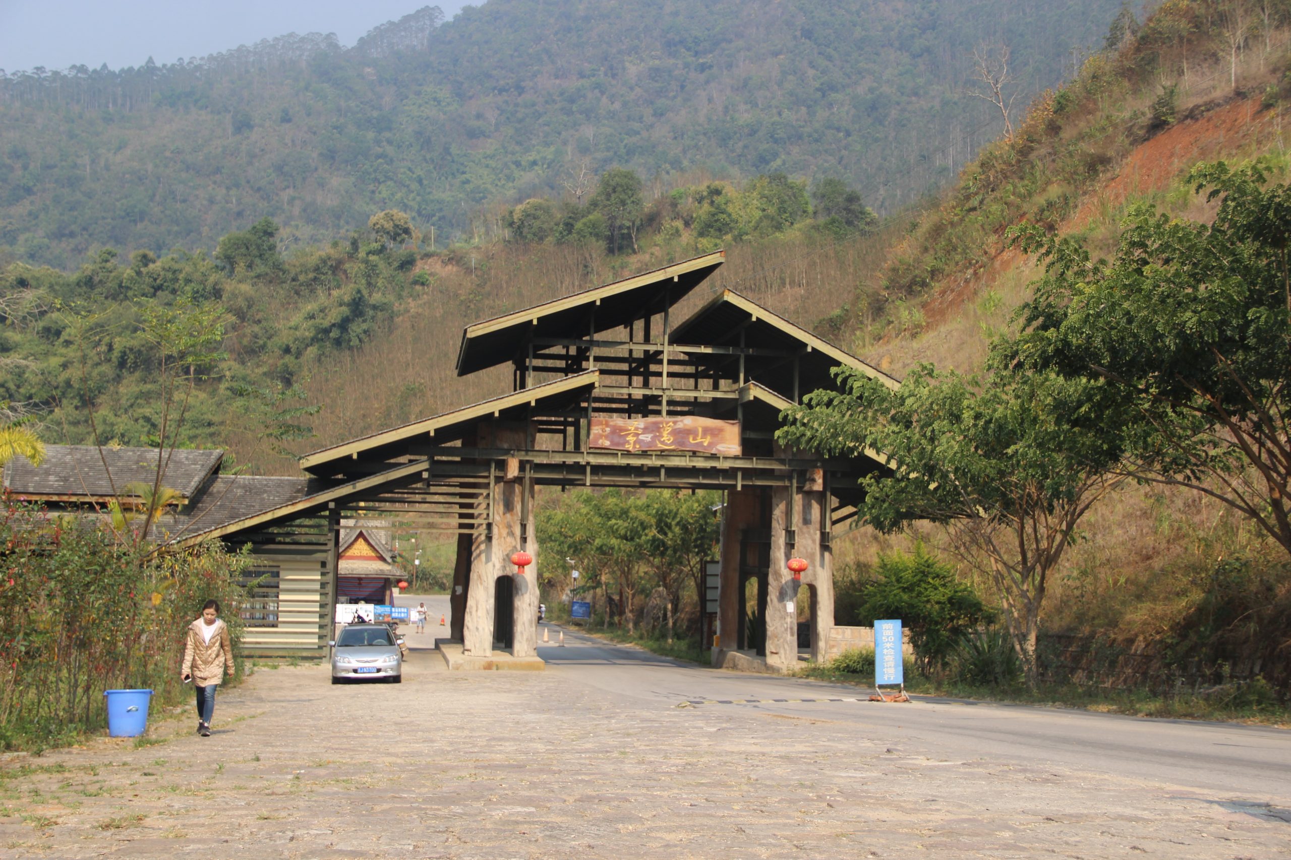 2023年景邁古樹春茶口感如何？