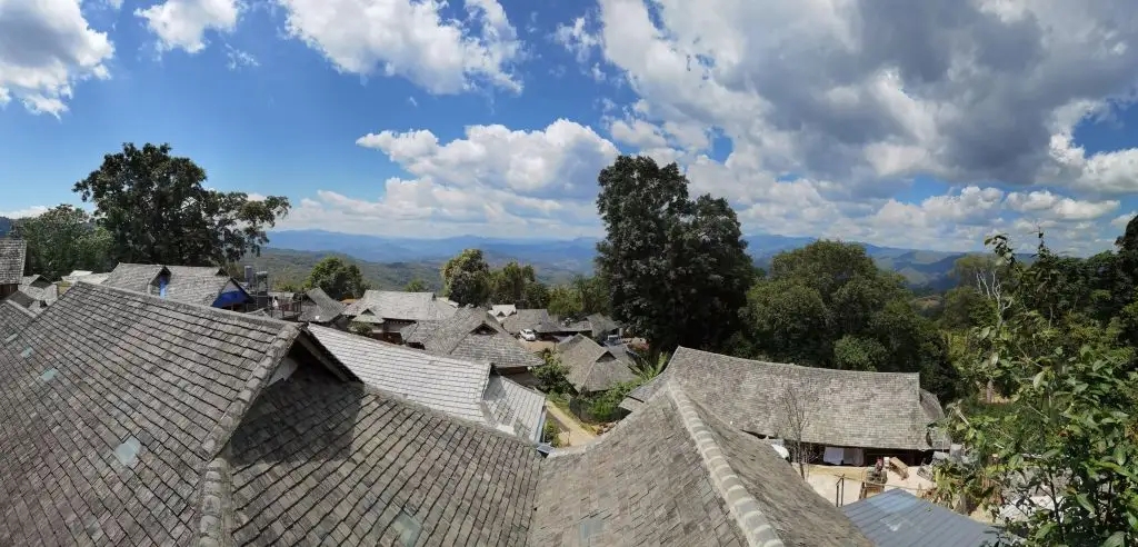 2023年景邁古樹春茶價格是多少？