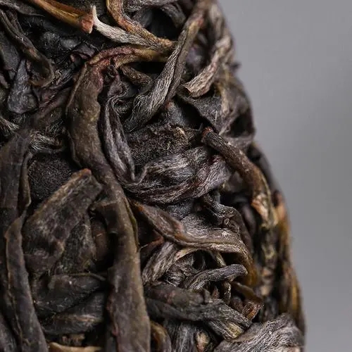 2023年迷帝古樹春茶價格是多少？