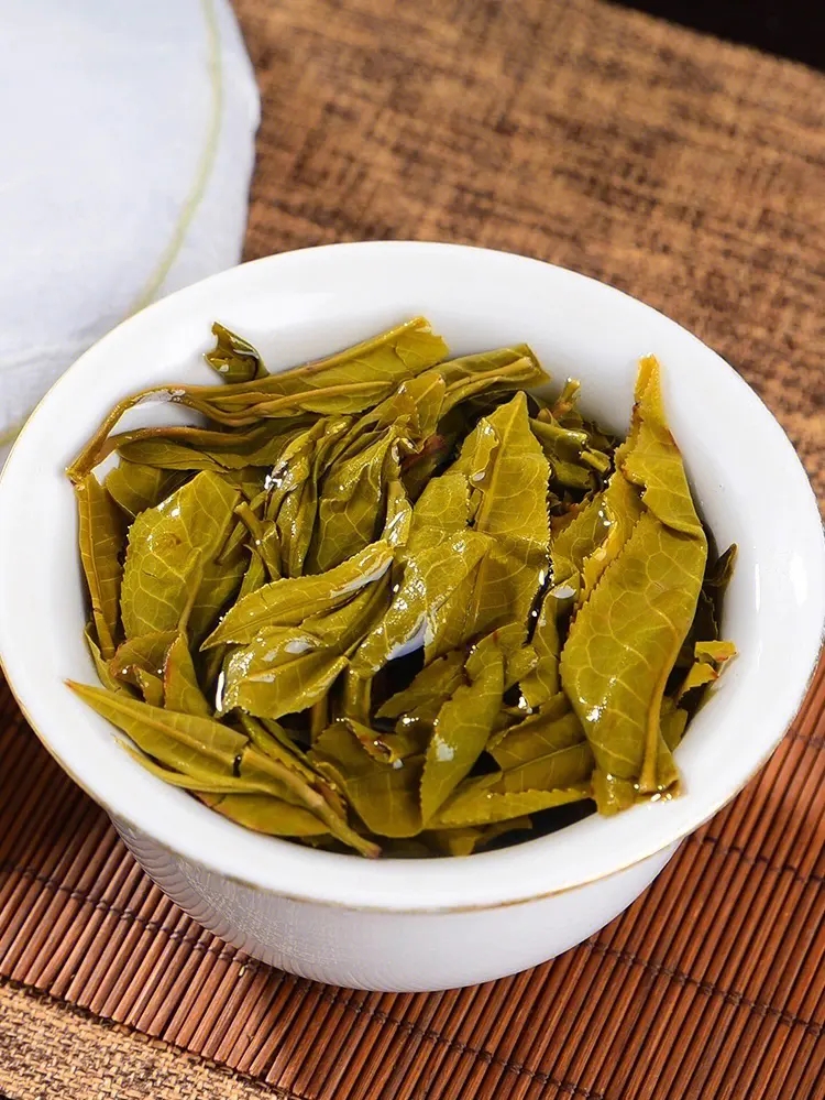 2023白鶯山古樹春茶特點是什么？