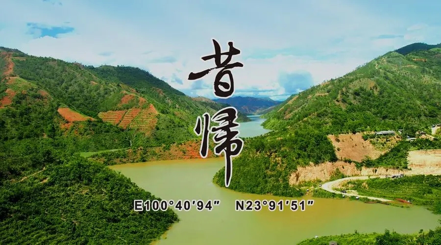 2023年昔歸古樹春茶品質(zhì)如何？