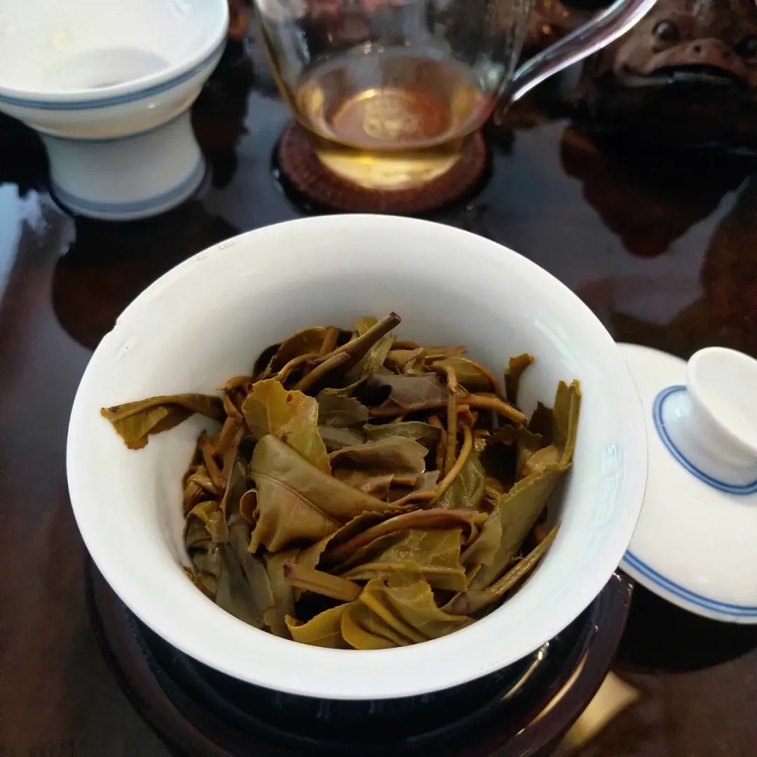 2023年昔歸古樹春茶口感如何？