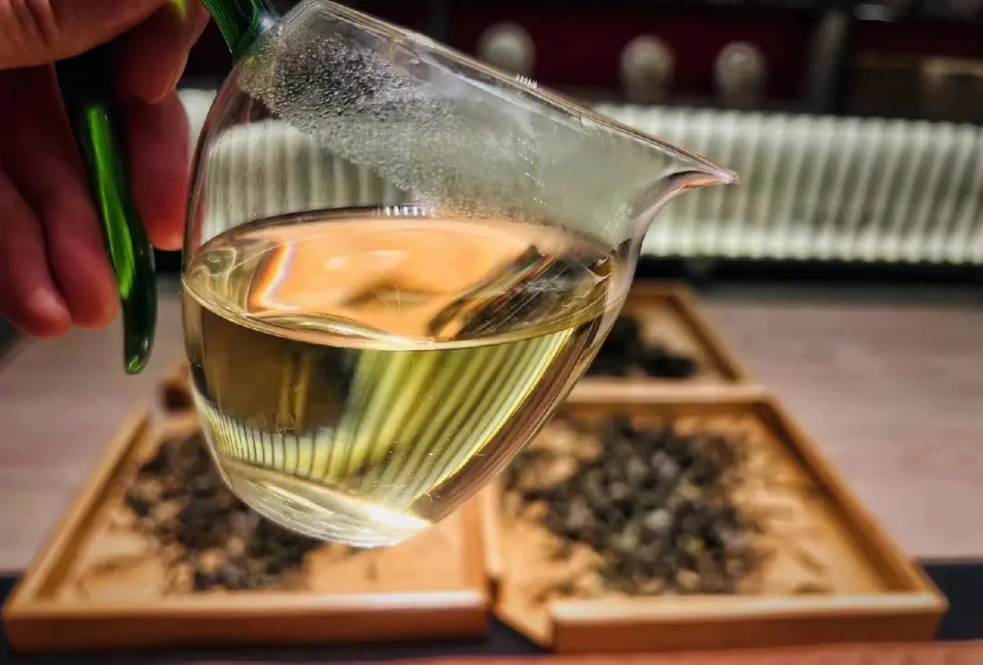 2023年鳳凰窩古樹春茶價格是多少？