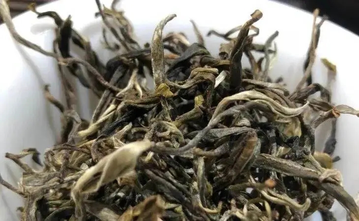 2023年鳳凰窩古樹春茶多少一公斤？