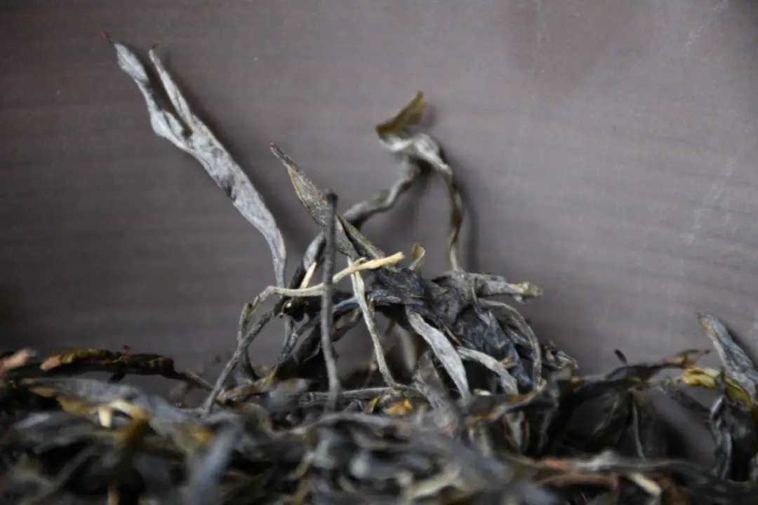 2023年正氣塘古樹春茶多少一公斤？