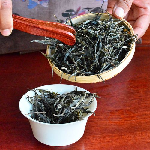 2023年地界古樹春茶口感是什么？