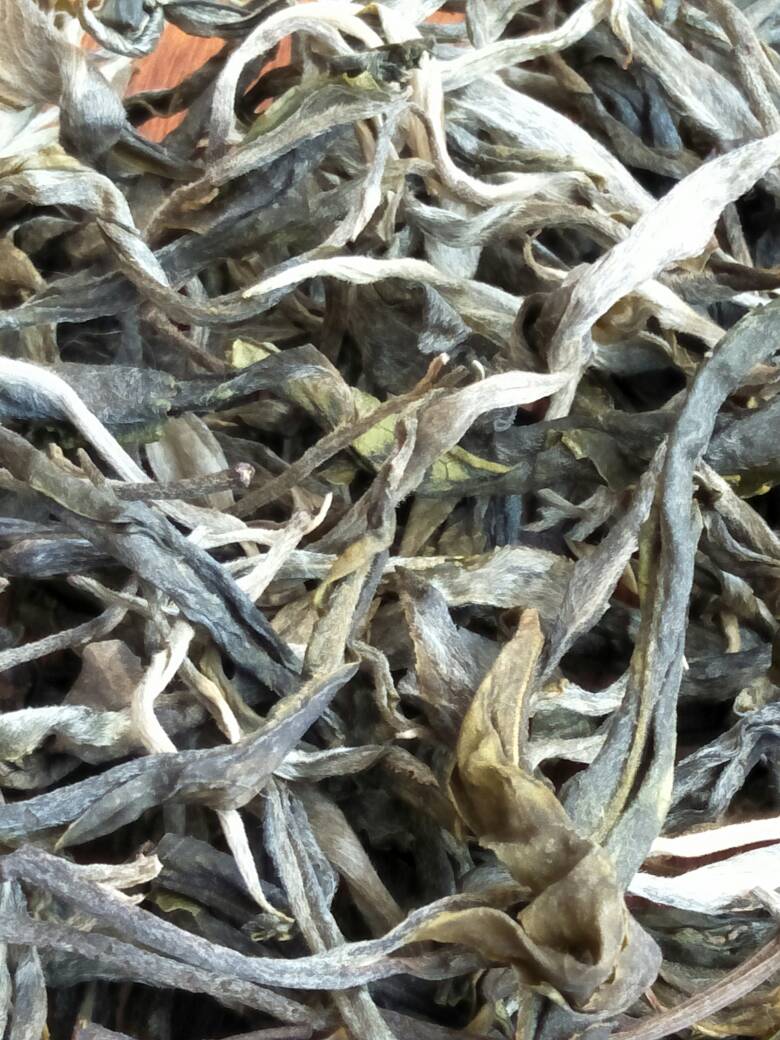 2023年壩歪古樹春茶價(jià)格是多少？