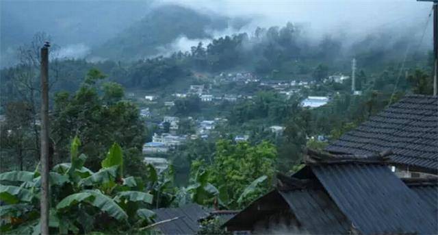 2023年勐庫豆腐寨古樹春茶口感怎么樣？