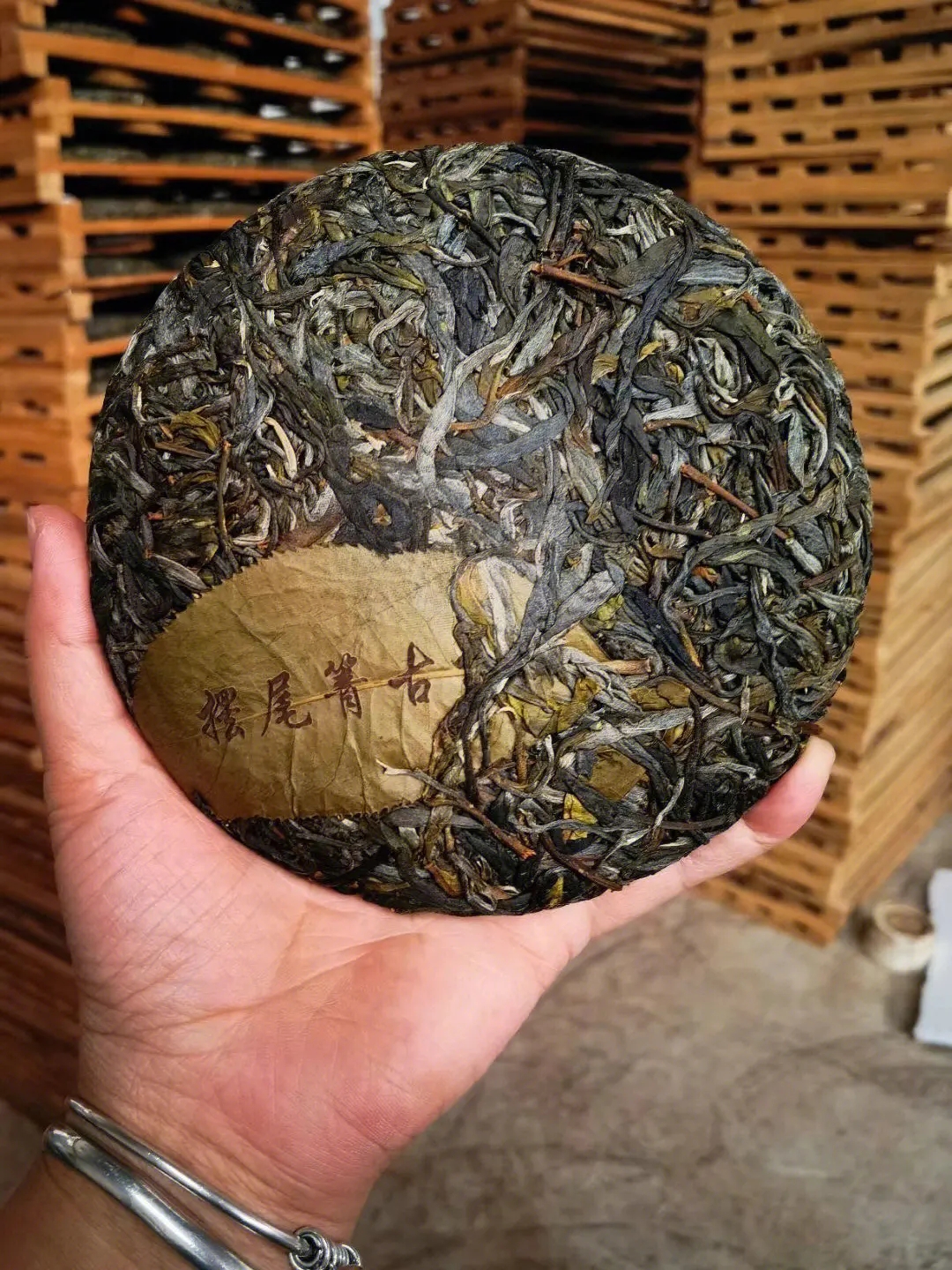 2023年寧洱擺尾箐古樹春茶品質怎么樣？