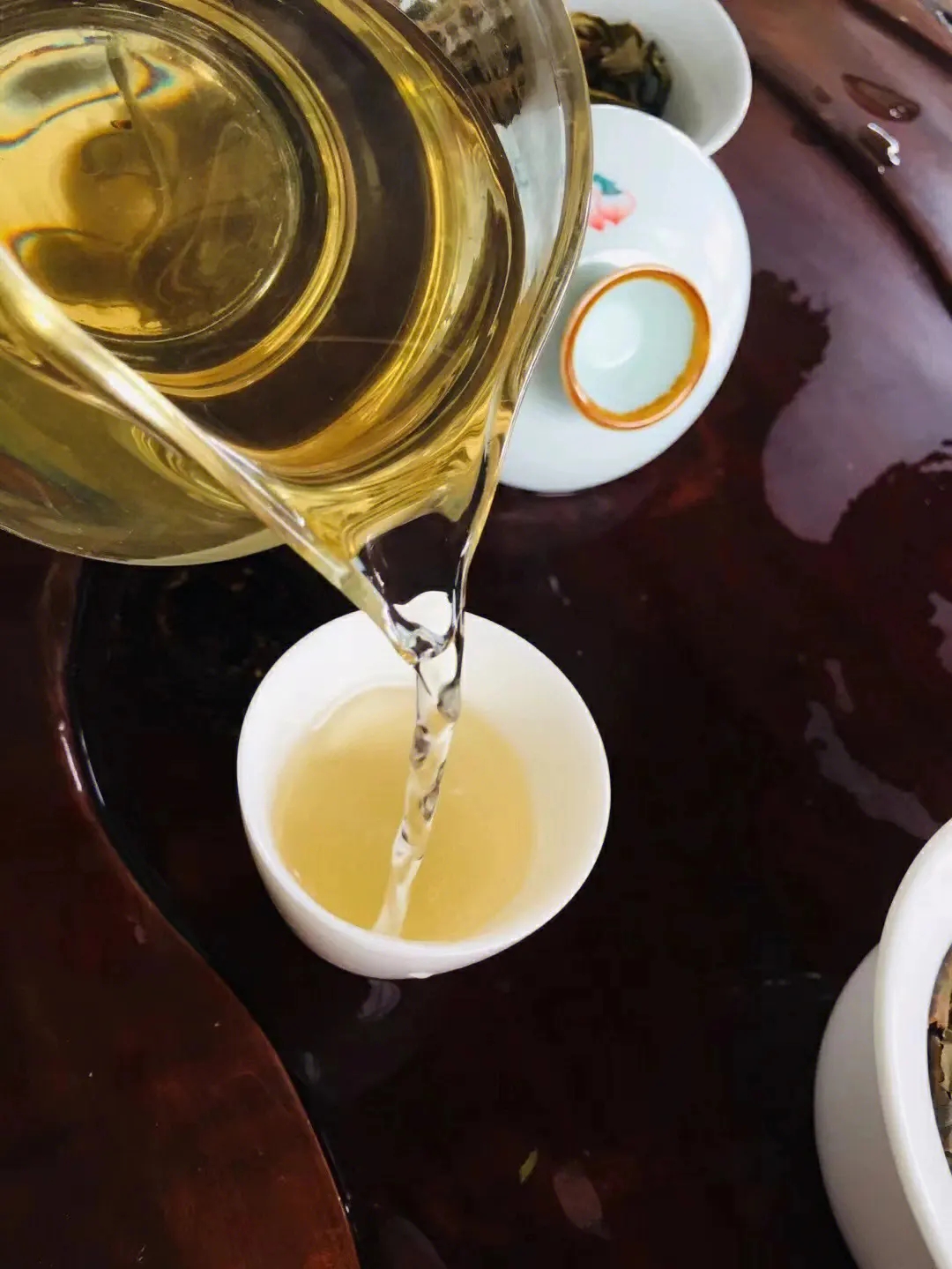 2023年鎮(zhèn)沅老海塘古樹春茶價(jià)格是多少？