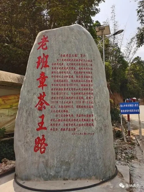 2024年老班章古樹(shù)春茶品質(zhì)如何？