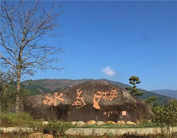 2024年冰島老寨古樹(shù)春茶品質(zhì)怎么樣？