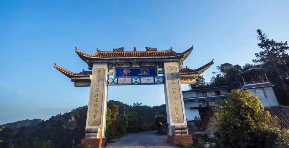 2024年墨江鳳凰窩古樹春茶特點是什么？