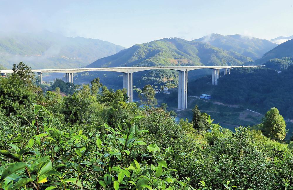 2024年昔歸古樹春茶品質(zhì)如何？