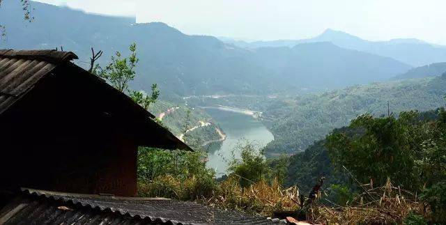 2024年磨烈古樹春茶價格多少？