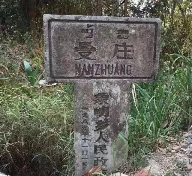 2025年蠻磚古樹春茶價(jià)格是多少？