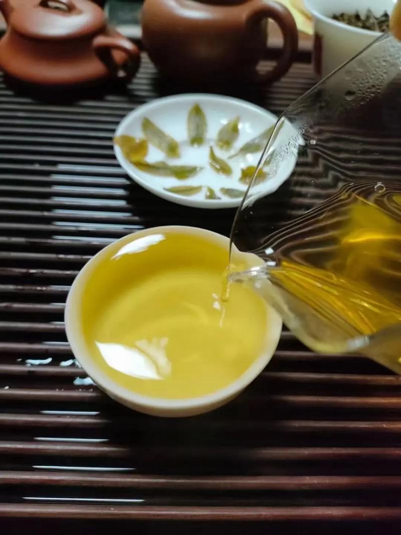 倚邦貢茶，甘甜醇柔