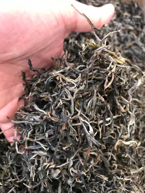 倚邦 | 兩朝貢茶，六山香魁