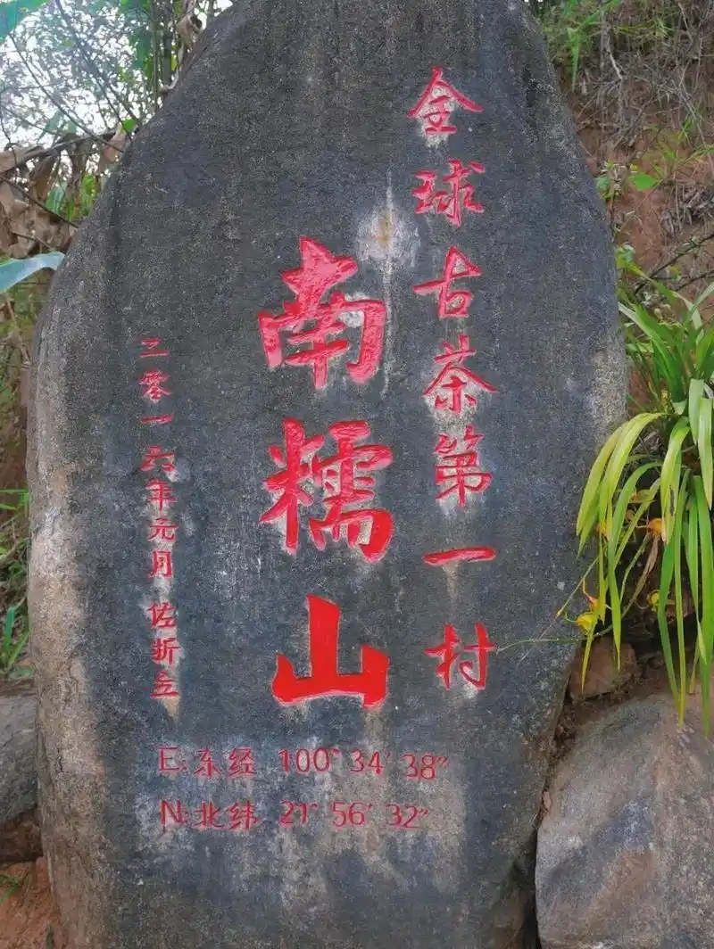 云南普洱茶 ‖ 山頭茶之南糯山